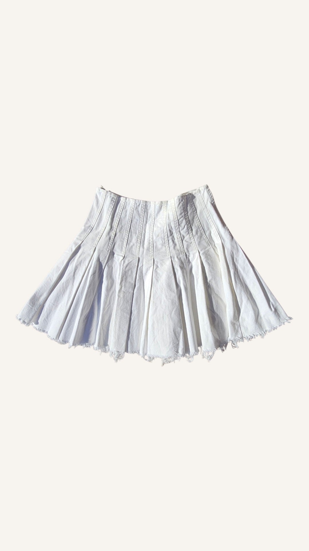 Pleated Skirt